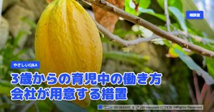 やさしいQ&A 3歳からの育児中の働き方 会社が用意する措置